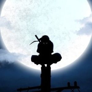 Meet your Posher, Rees